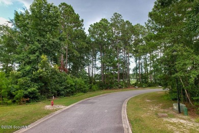 Welcome home to Sanctuary Cove, one of Coastal Georgia's premier - photo 4