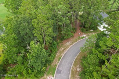 Welcome home to Sanctuary Cove, one of Coastal Georgia's premier - photo 5