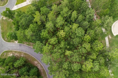 Welcome home to Sanctuary Cove, one of Coastal Georgia's premier - photo 10