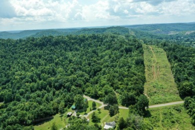 Lake Cumberland Acreage For Sale in Burnside Kentucky