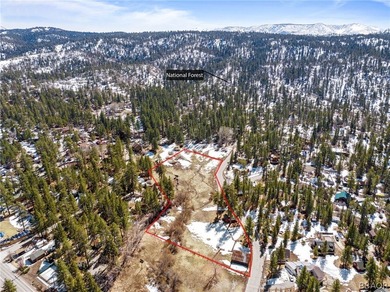 One-of-a-kind opportunity to own a 'Legacy' property in Big Bear - photo 3