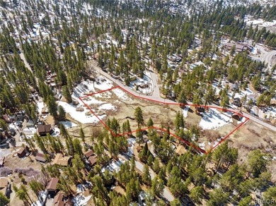One-of-a-kind opportunity to own a 'Legacy' property in Big Bear - photo 5