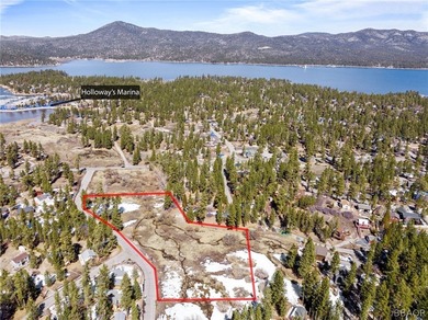 One-of-a-kind opportunity to own a 'Legacy' property in Big Bear - photo 8