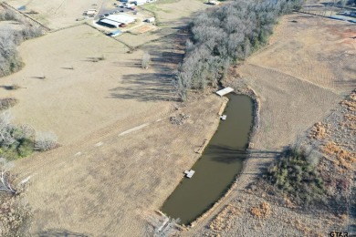 Lake Bob Sandlin Commercial For Sale in Pittsburg Texas