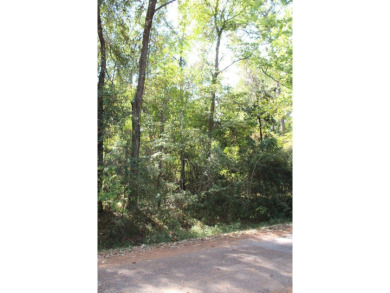 Lake Lot For Sale in Hemphill, Texas