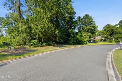 The last remaining true deep-water homesite in Osprey Cove has - photo 8