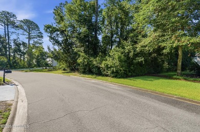 The last remaining true deep-water homesite in Osprey Cove has - photo 10