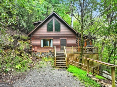 (private lake, pond, creek) Home For Sale in Ellijay Georgia