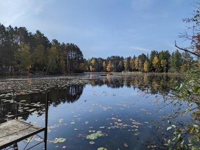 Lake Lot For Sale in Phillips, Wisconsin