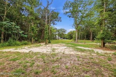 New construction in Historic Clermont Harbor near Bay St. Louis! - photo 31