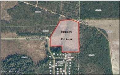 Georges Lake Acreage For Sale in Florahome Florida
