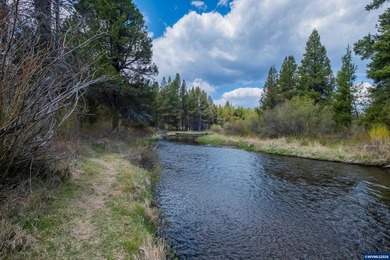 Custom Stick built Modern River Front Property that is a - photo 41