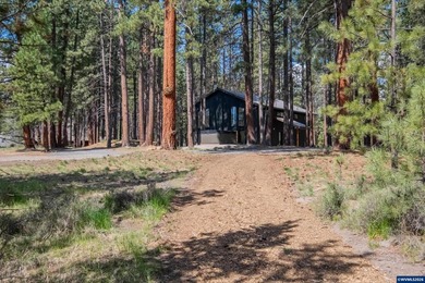 Custom Stick built Modern River Front Property that is a - photo 46