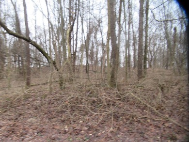 2.33 Acres of Vacant Land with Deeded Access and Pier Space to - photo 5