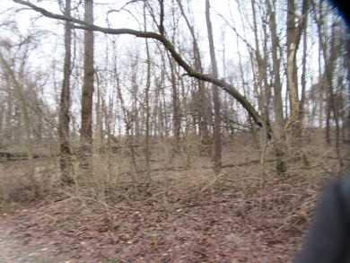 2.33 Acres of Vacant Land with Deeded Access and Pier Space to - photo 6