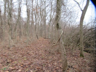 2.33 Acres of Vacant Land with Deeded Access and Pier Space to - photo 10