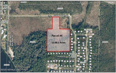 Georges Lake Acreage For Sale in Florahome Florida
