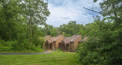 Lake Condo For Sale in Galena, Illinois