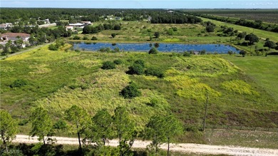 (private lake, pond, coastal) Acreage For Sale in Labelle Florida