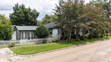 Welcome to 501 Auburn, a beautifully maintained 4~bedroom - photo 29