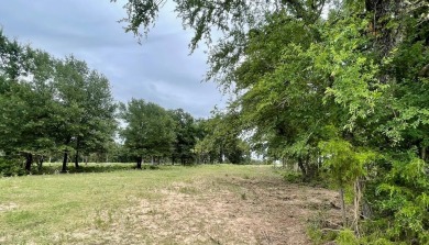 Lake Acreage For Sale in Donie, Texas