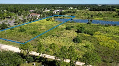 (private lake, pond, coastal) Acreage For Sale in Labelle Florida
