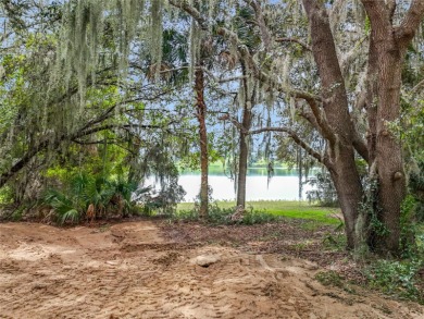 Lake Lot For Sale in Eustis, Florida