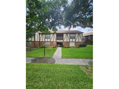 Lake Condo For Sale in Orlando, Florida