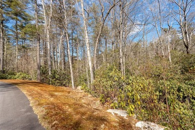 How does a mountain home with river frontage in the popular - photo 2