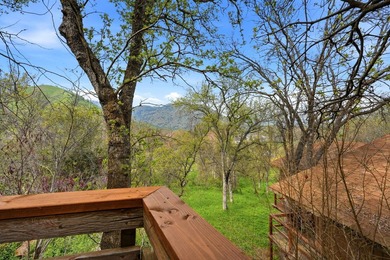 Set among the trees just minutes from the heart of Three Rivers - photo 17