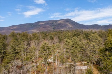 How does a mountain home with river frontage in the popular - photo 5