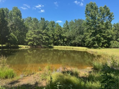 Lake Home For Sale in Ratcliff, Texas