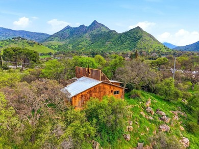 Set among the trees just minutes from the heart of Three Rivers - photo 47