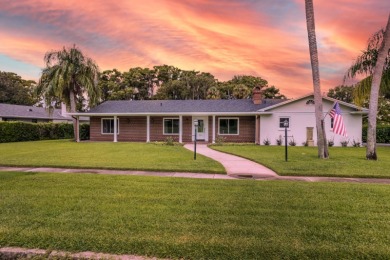 Lake Home For Sale in Tavares, Florida