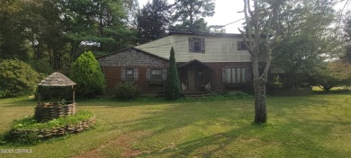 Lake Home For Sale in Catawissa, Pennsylvania