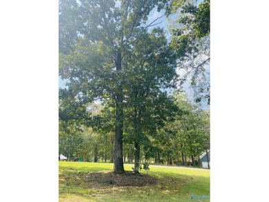 Prime location, across the road from Cherokee Pines Golf Course