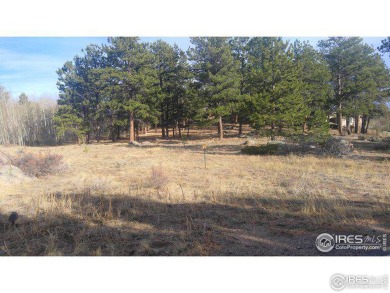 Red Feather Lake Lot For Sale in Red Feather Lakes Colorado