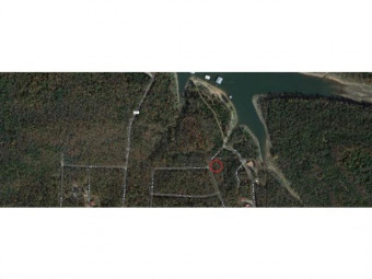 Norfork Lake Lot For Sale in Henderson Arkansas