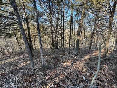 Pinnacle Lake Lot For Sale in New Florence Missouri