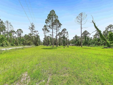 This is the kind of property folks are always asking about! - photo 6
