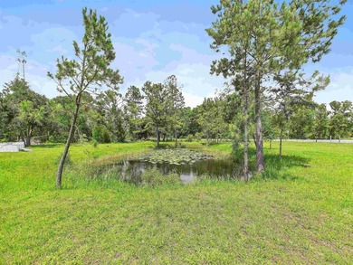 This is the kind of property folks are always asking about! - photo 7