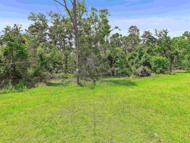 This is the kind of property folks are always asking about! - photo 8
