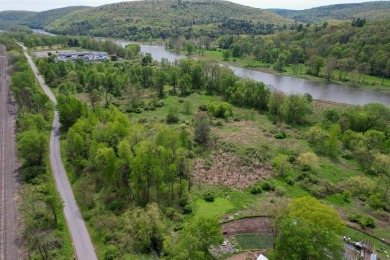 Lake Acreage For Sale in Hancock, New York