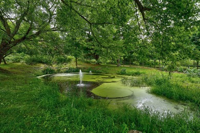 Plus de 19 hectares a Dunham, entre Sutton et Frelighsburg - photo 35