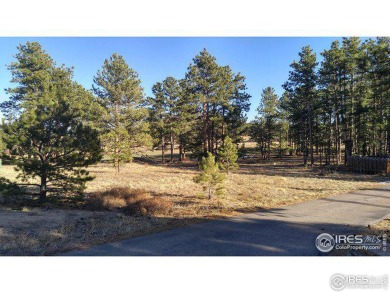 Red Feather Lake Lot For Sale in Red Feather Lakes Colorado
