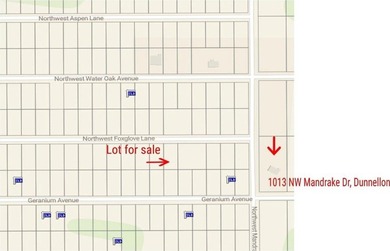 Bonable Lake Lot For Sale in Dunnellon Florida
