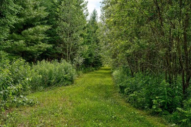 Plus de 19 hectares a Dunham, entre Sutton et Frelighsburg - photo 42