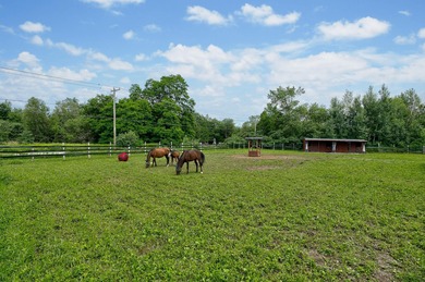 Plus de 19 hectares a Dunham, entre Sutton et Frelighsburg - photo 44