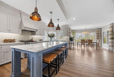 This beautiful Coastal New England / Nantucket-style home - photo 6