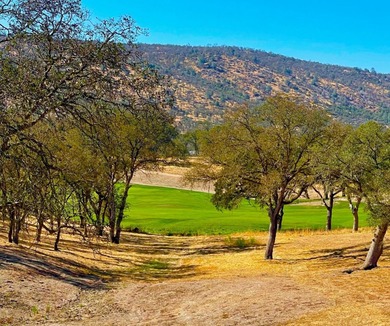 Lake Tulloch Lot For Sale in Copperopolis California